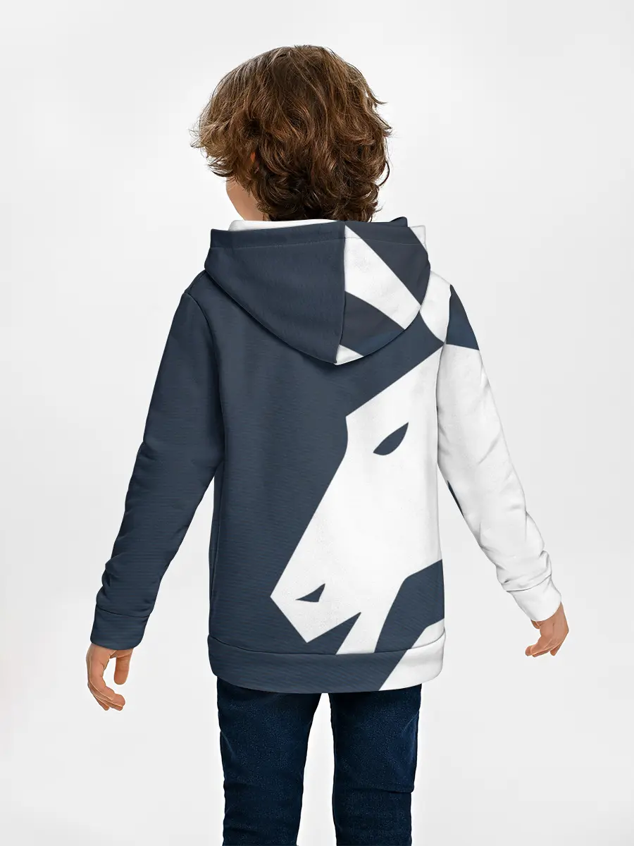 Детское худи / cs:go - Liquid team