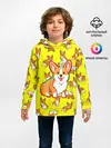 Детское худи / Corgi