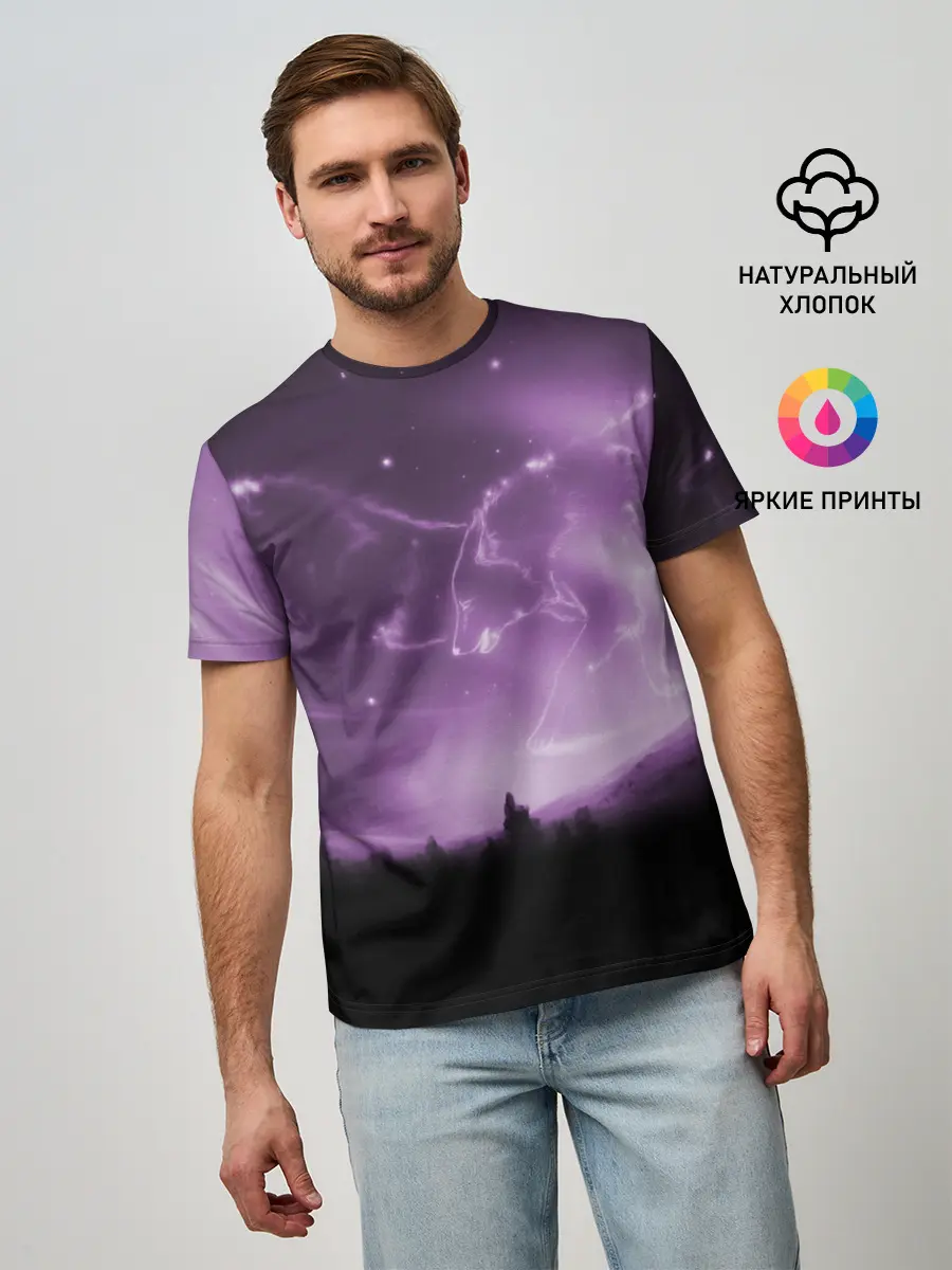 Мужская базовая футболка / ВОЛКИ СОЗВЕЗДИЯ