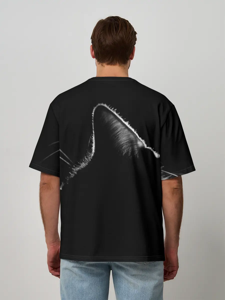 Мужская футболка оверсайз / Чёрный кот