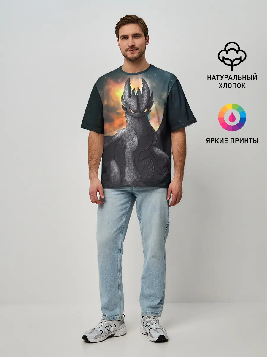 Мужская футболка оверсайз / Night Fury