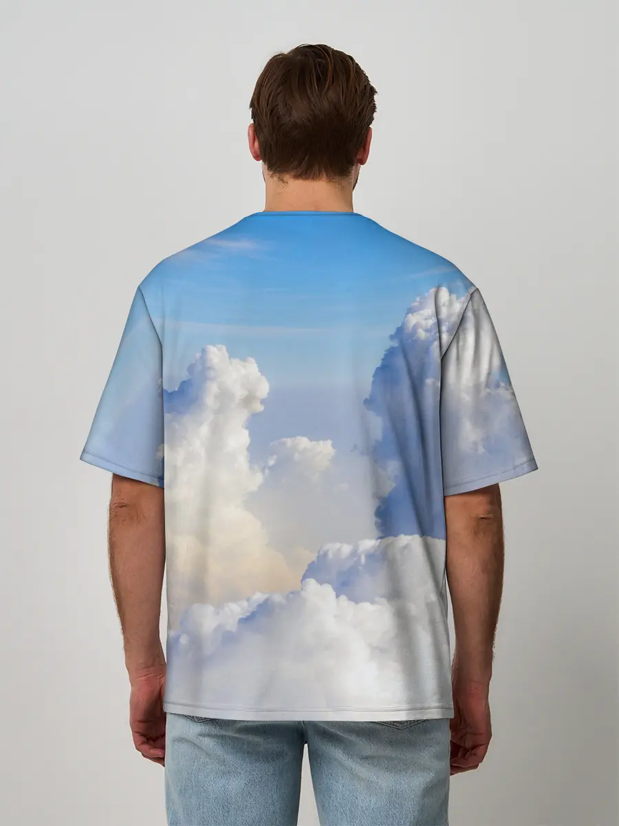 Мужская футболка оверсайз / Night Fury