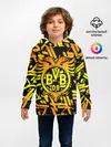 Детское худи / FC Borussia