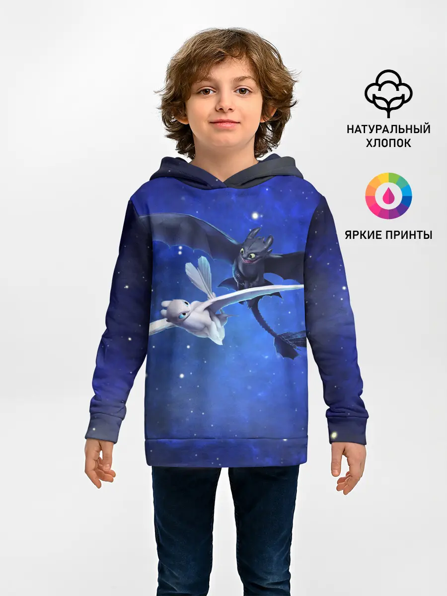 Детское худи / Night Fury