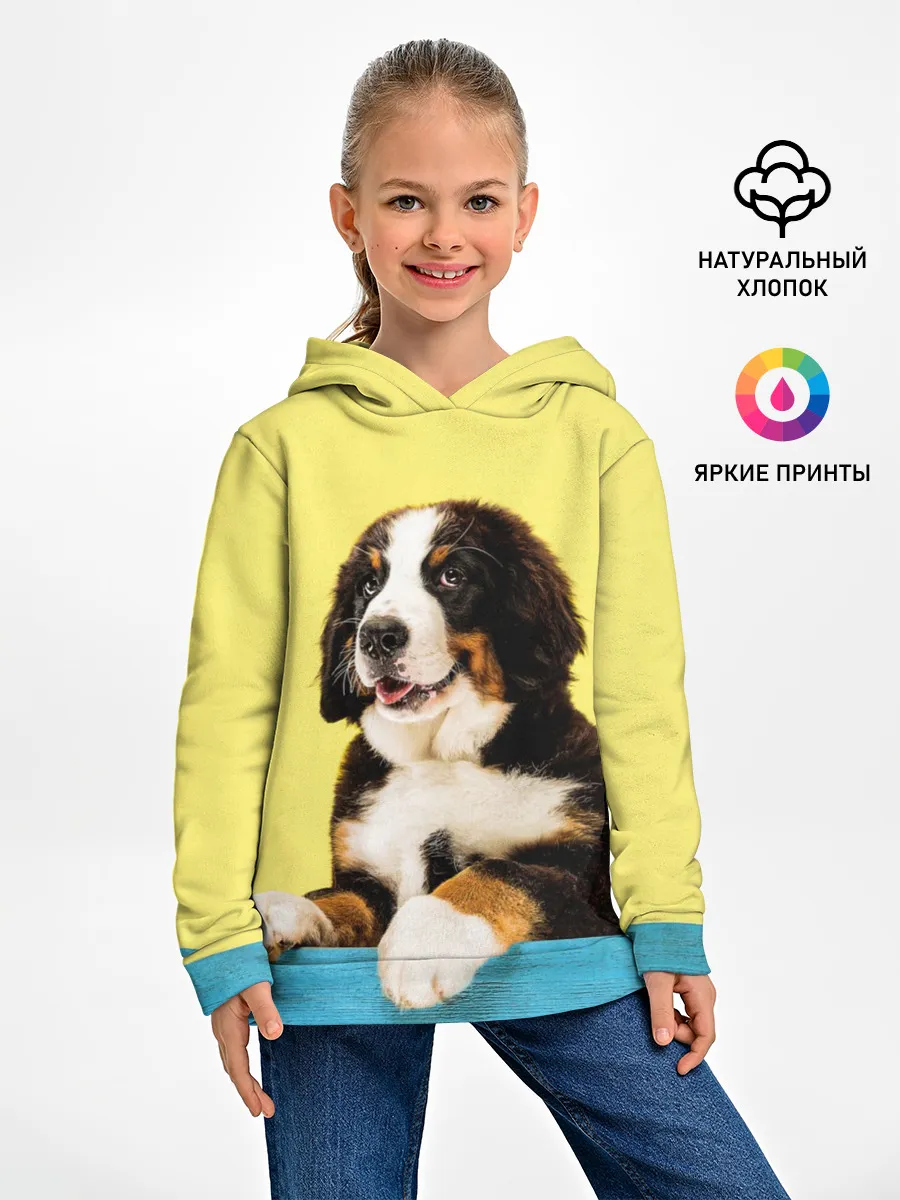 Детское худи / Бернский зенненхунд, Berner Sennenhund