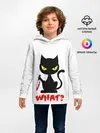 Детское худи / What Cat