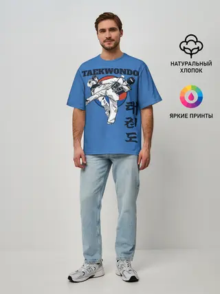 Мужская футболка оверсайз / Taekwondo