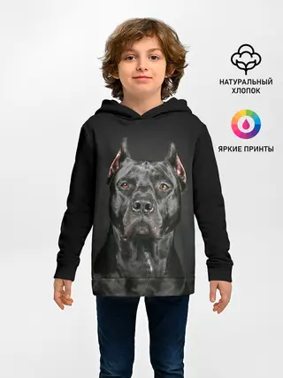 Детское худи / Питбуль