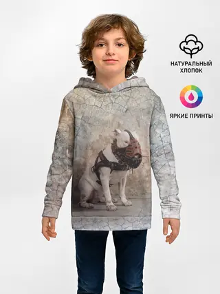 Детское худи / Бойцовый бультерьер