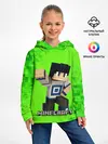 Детское худи / MINECRAFT