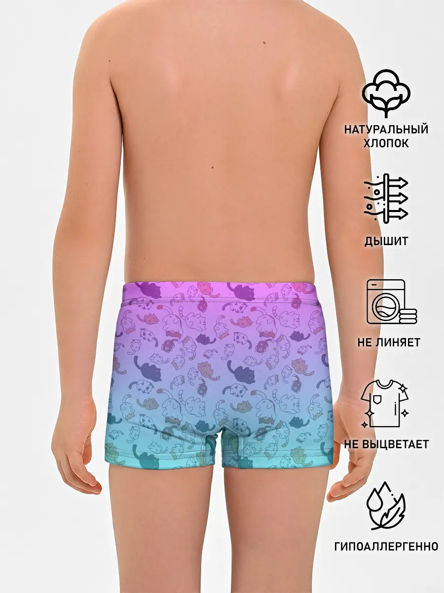 Трусы для мальчиков / Котики в полете