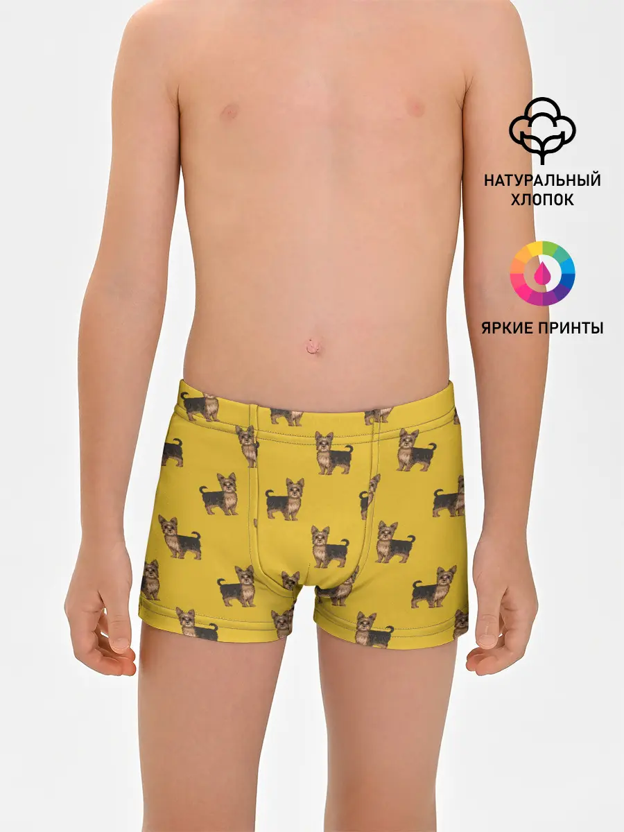 Трусы для мальчиков / Йоркширский терьер паттерн