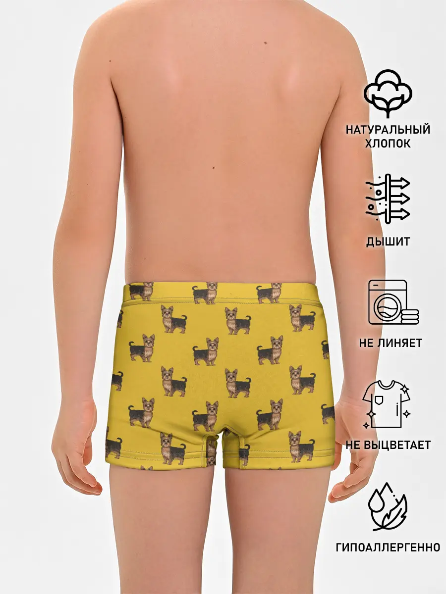 Трусы для мальчиков / Йоркширский терьер паттерн