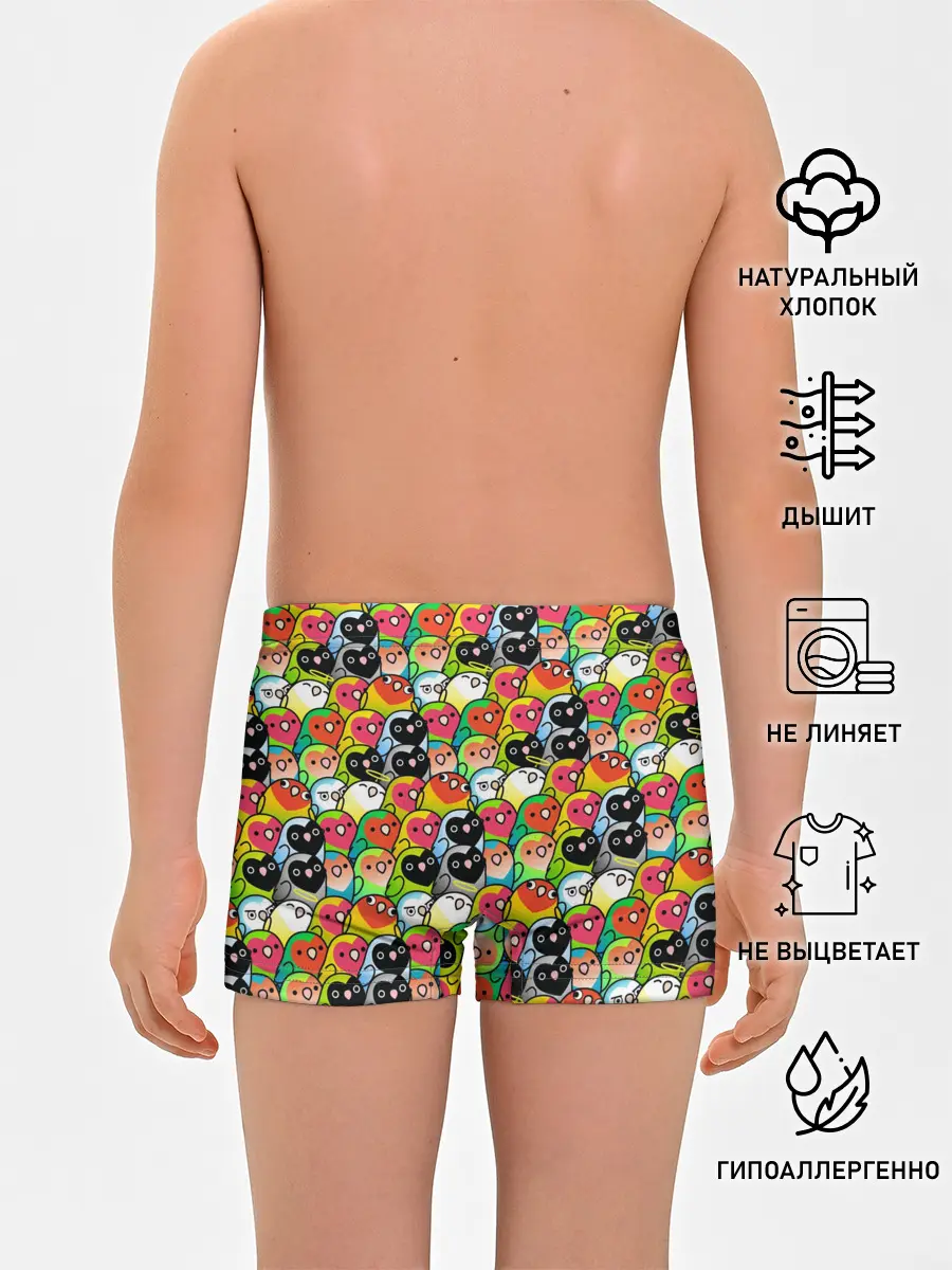 Трусы для мальчиков / Папуги