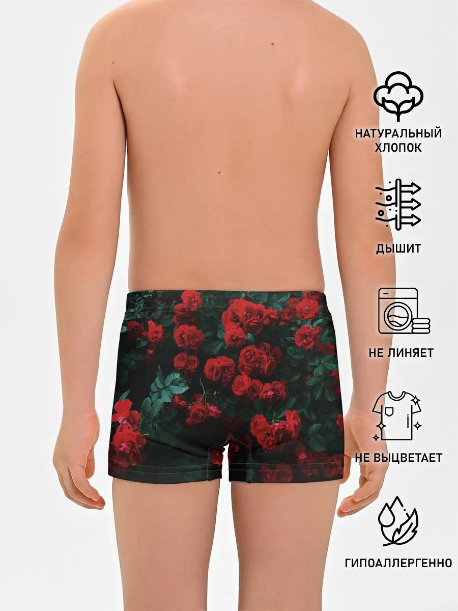 Трусы для мальчиков / Розы