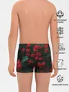 Трусы для мальчиков / Розы