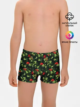 Трусы для мальчиков / Цветочный сад