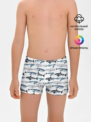 Трусы для мальчиков / принт с китами