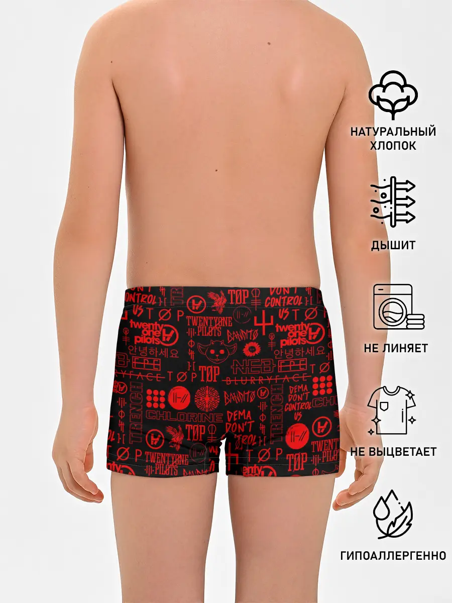 Трусы для мальчиков / TWENTY ONE PILOTS