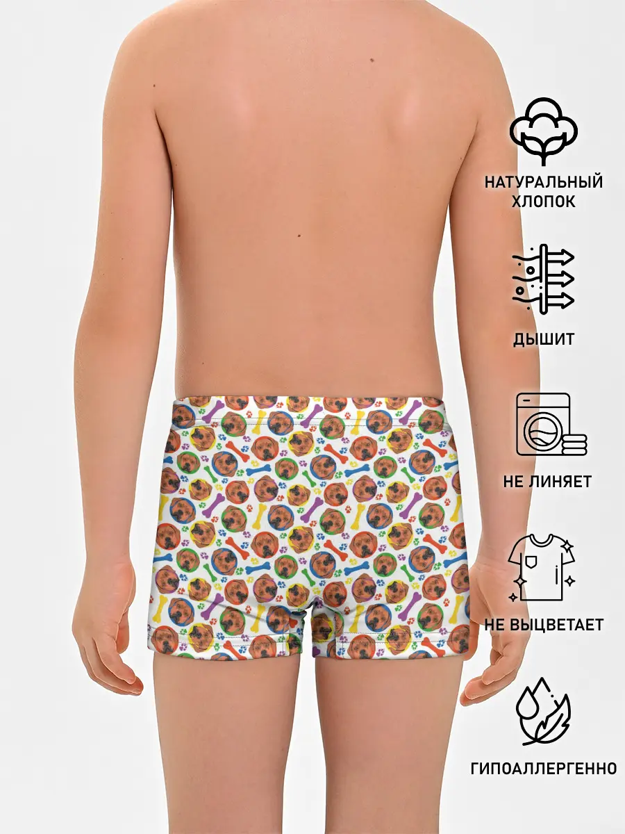 Трусы для мальчиков / Родезийский Риджбек