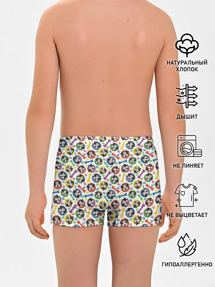 Трусы для мальчиков / Австралийская Овчарка