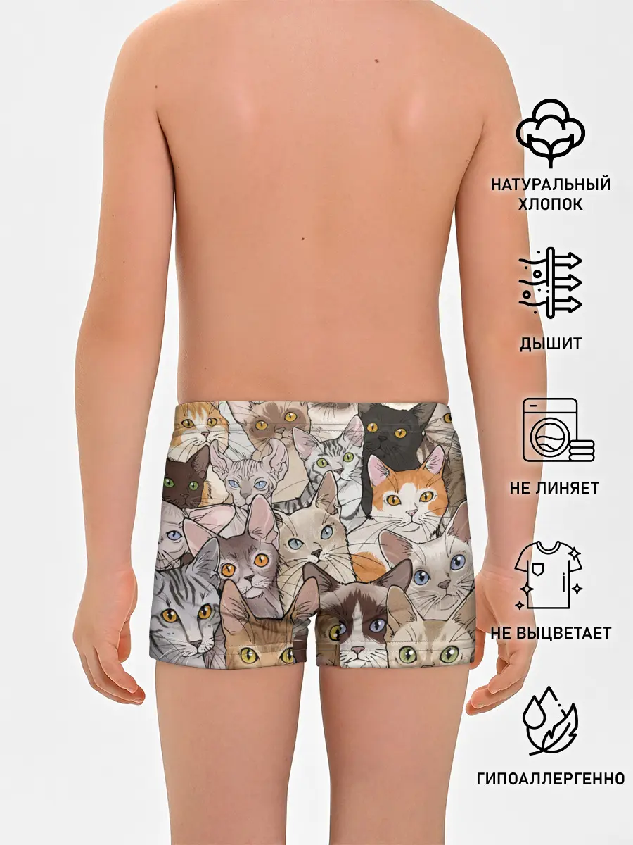 Трусы для мальчиков / Котики