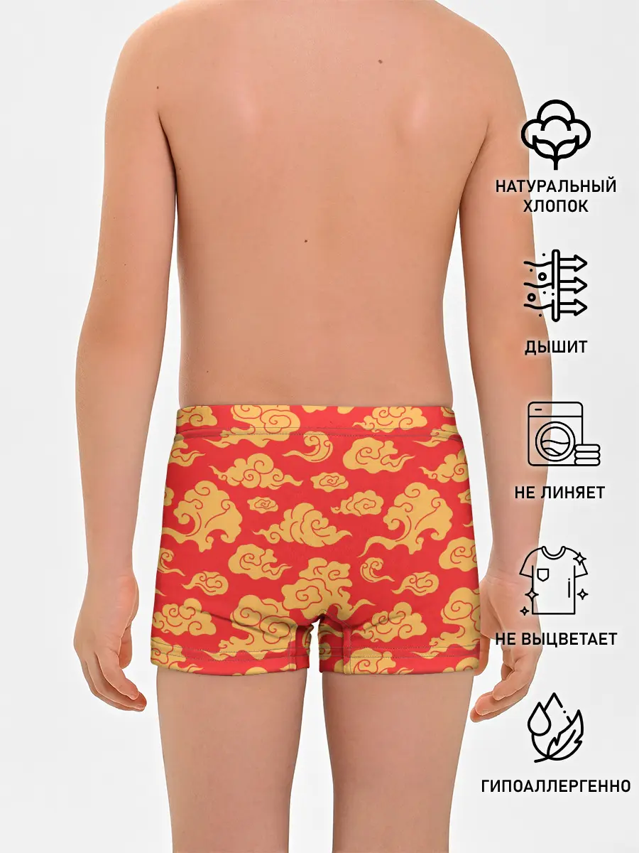 Трусы для мальчиков / Западный узор облаков