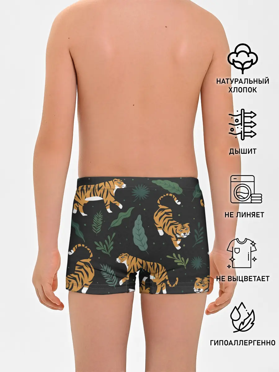 Трусы для мальчиков / Тропический тигр