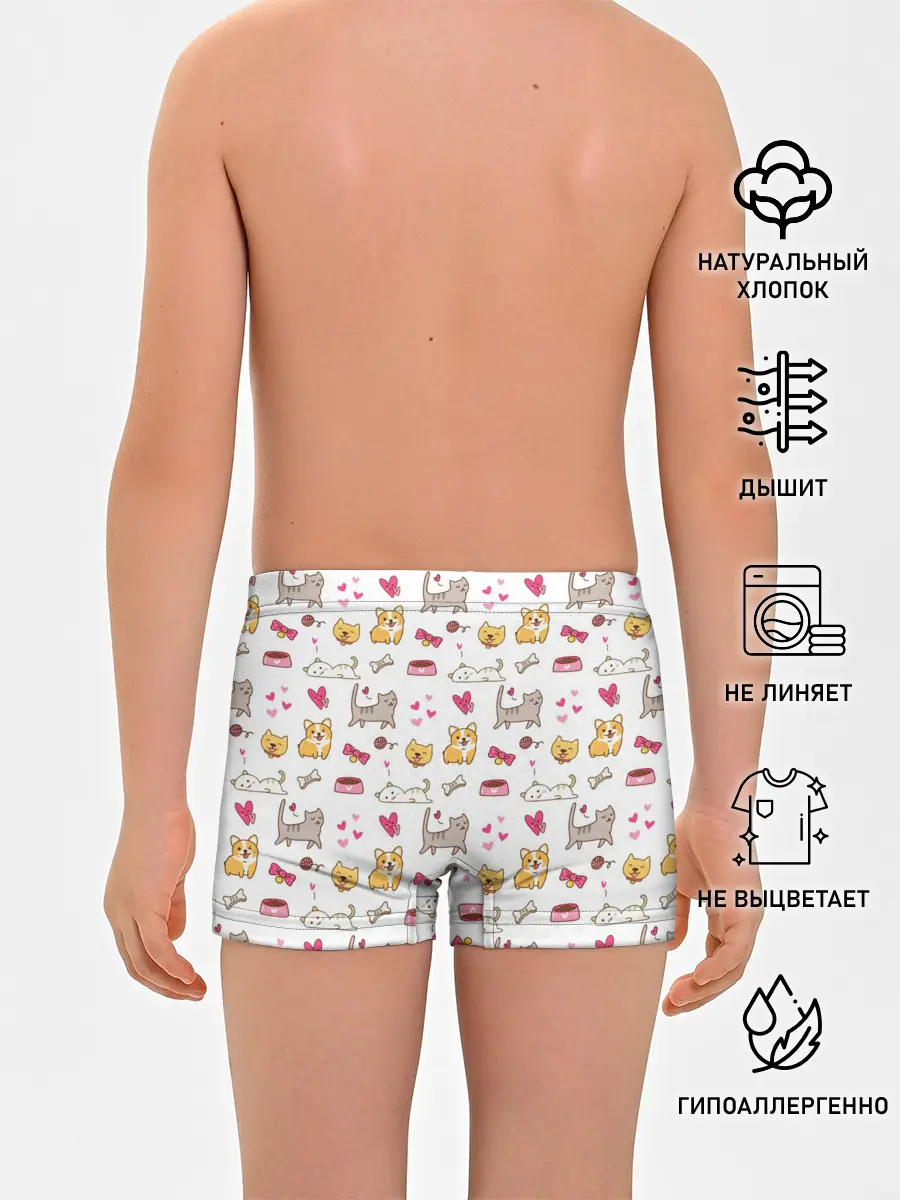 Трусы для мальчиков / Домашние питомцы