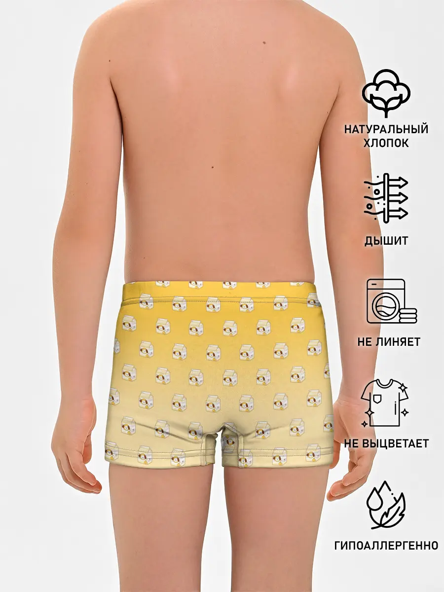 Трусы для мальчиков / Chimmy juice