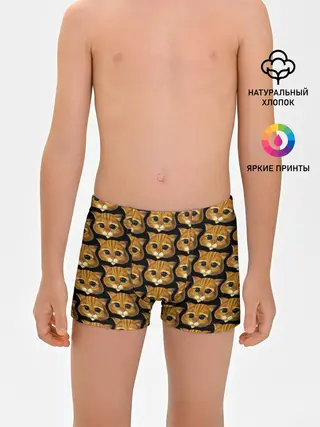 Трусы для мальчиков / КОТ В САПОГАХ из ШРЕКА