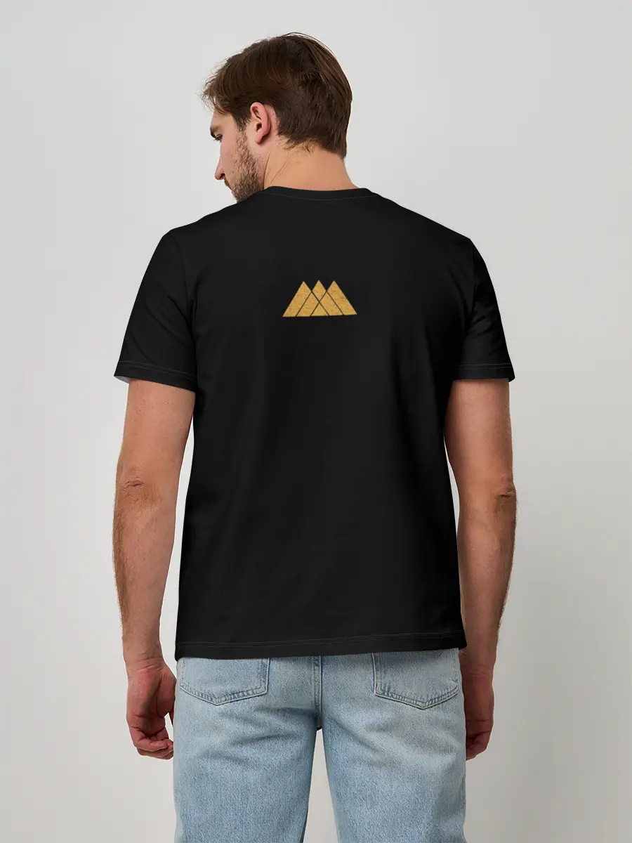 Мужская базовая футболка / Destiny