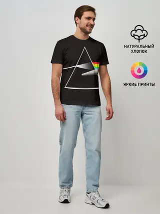 Мужская базовая футболка / PINK FLOYD