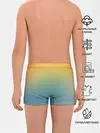 Трусы для мальчиков / Мягкий летний градиент