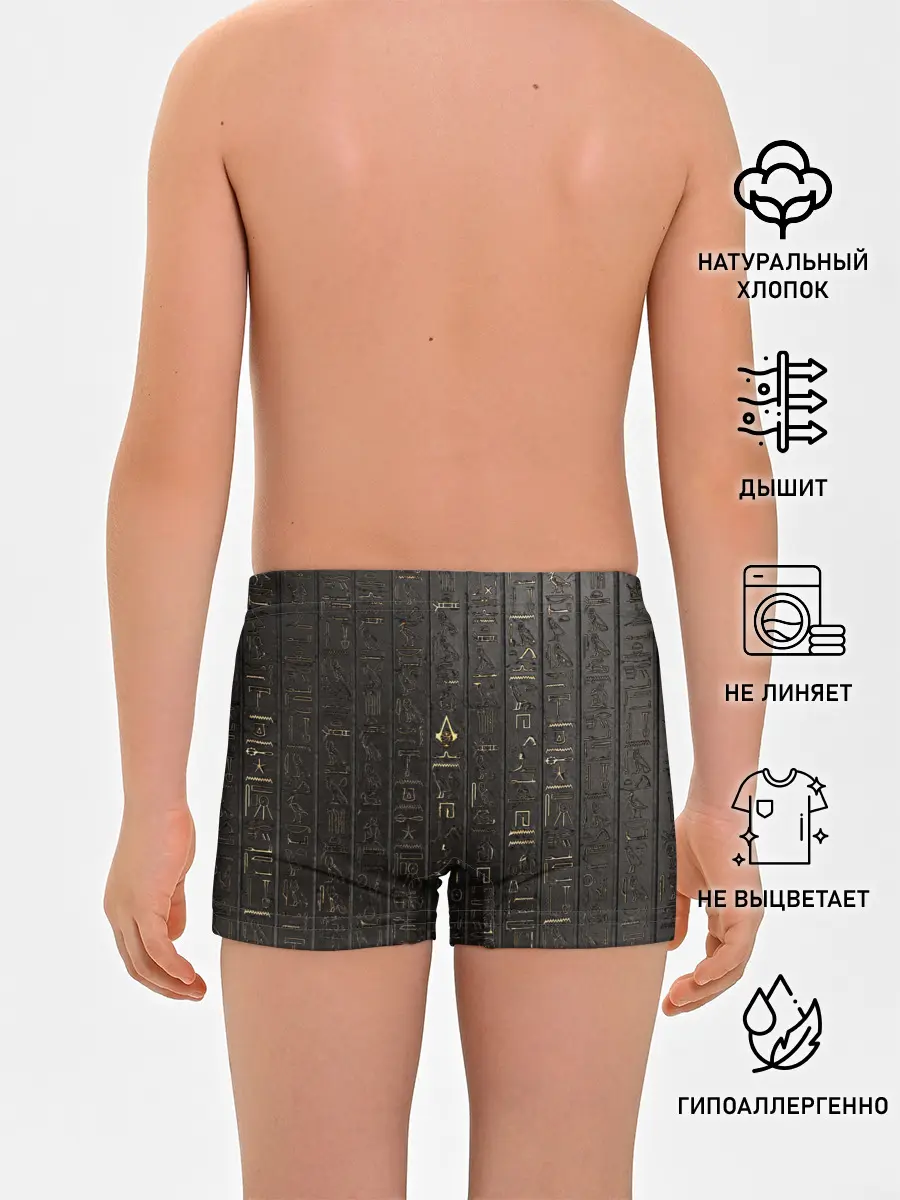 Трусы для мальчиков / ASSASSINS CREED:ORIGINS