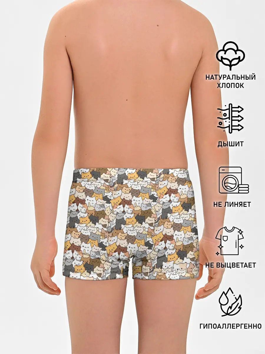 Трусы для мальчиков / Котики муркотики