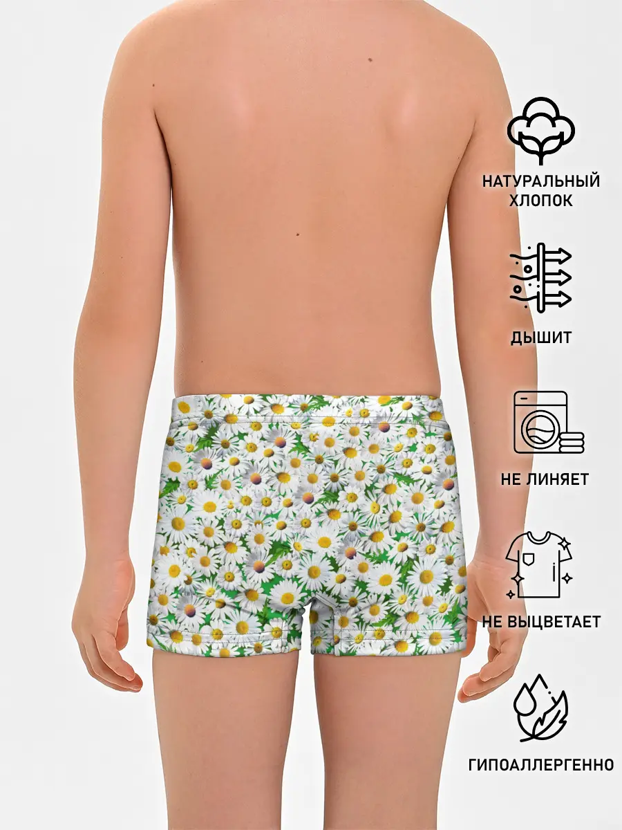 Трусы для мальчиков / Ромашки