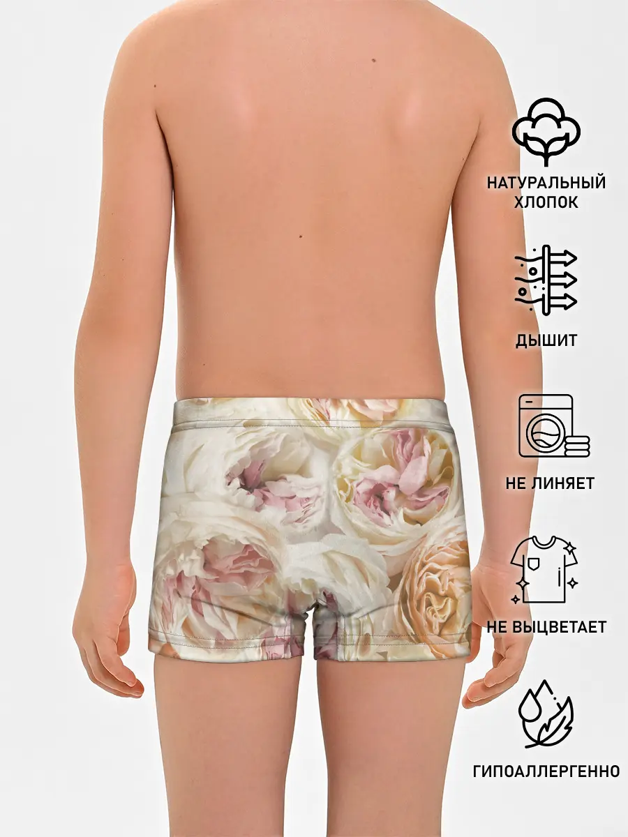 Трусы для мальчиков / Нежные Пионы