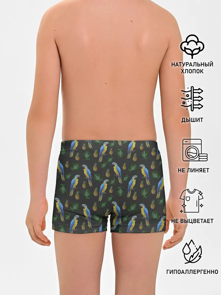 Трусы для мальчиков / Попугай Ара