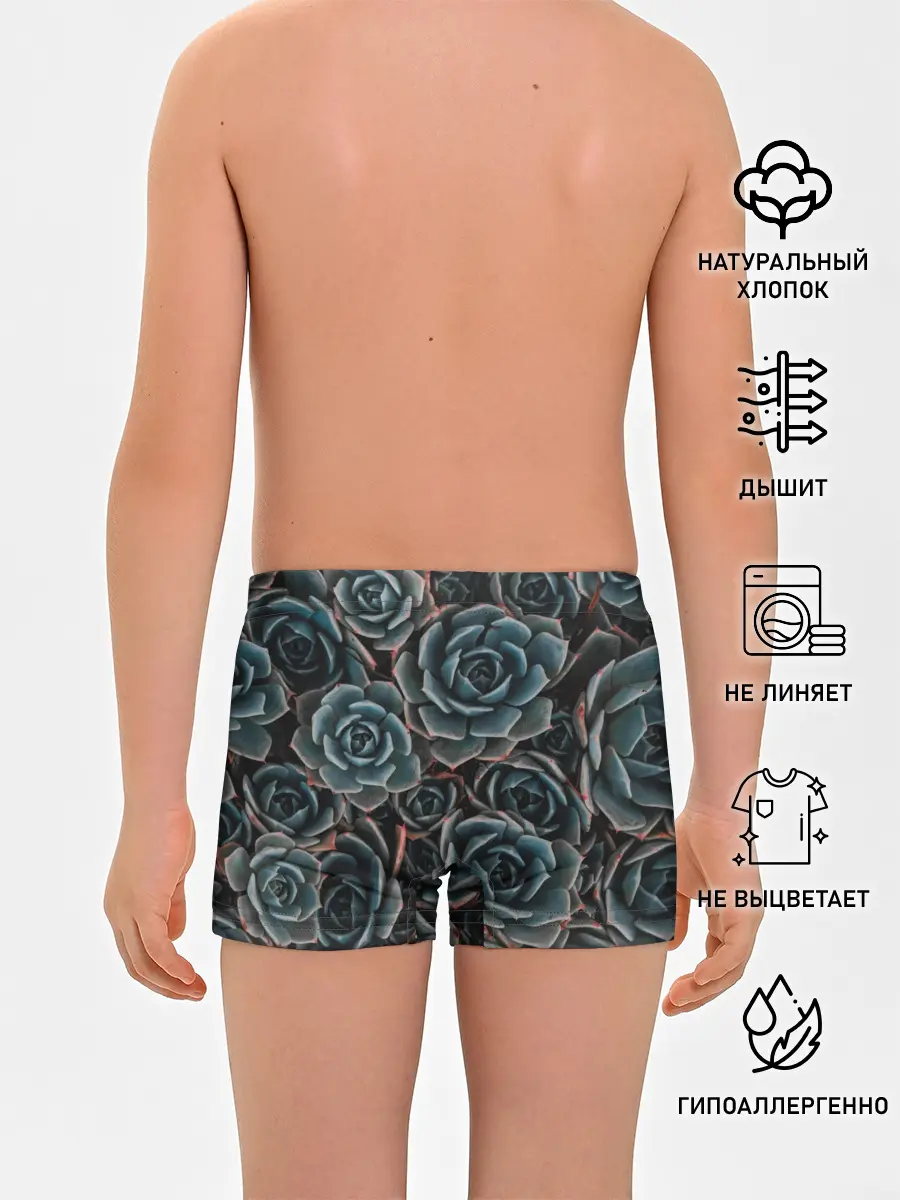 Трусы для мальчиков / ЦВЕТЫ РОЗЫ | STEEL ROSES