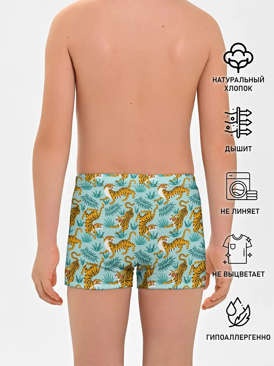 Трусы для мальчиков / Рычащие Тигры Паттерн