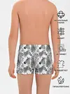 Трусы для мальчиков / Зебра
