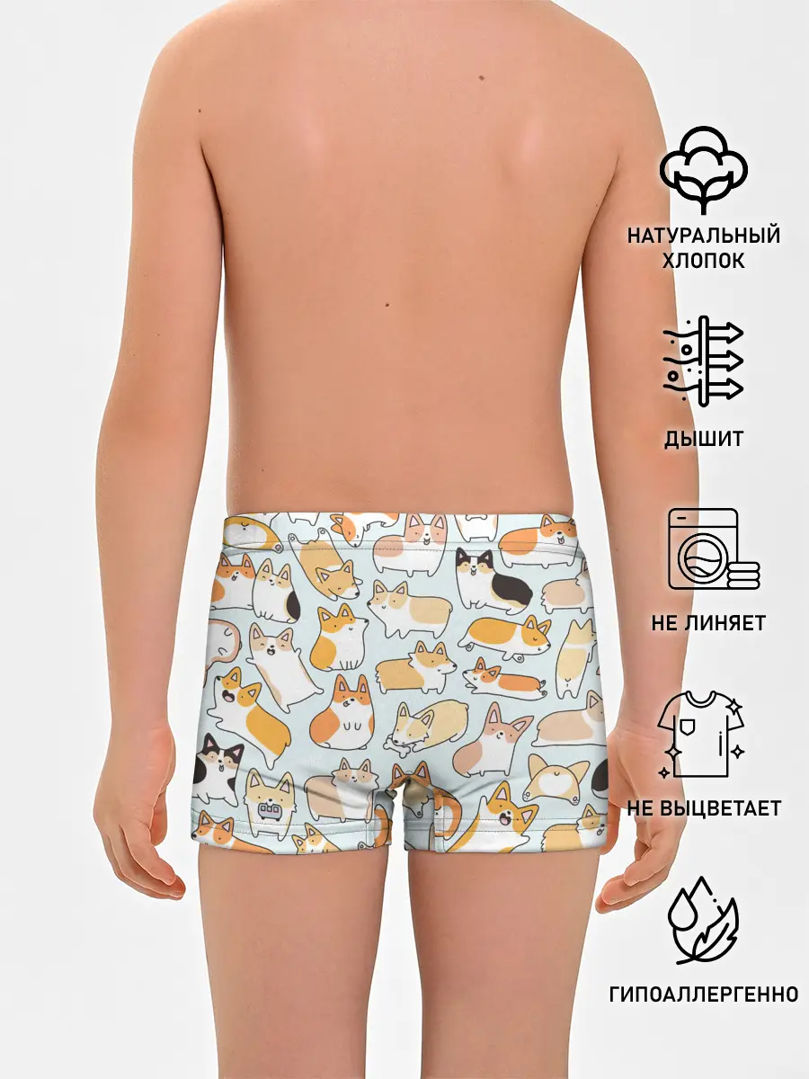 Трусы для мальчиков / Стая корги