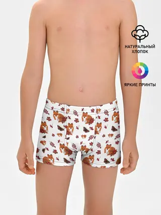 Трусы для мальчиков / Лиса