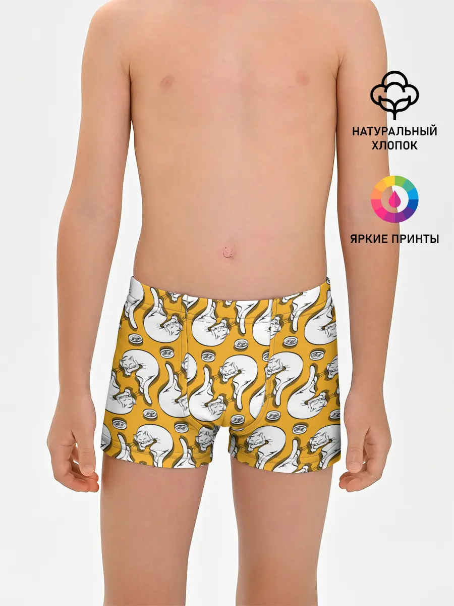 Трусы для мальчиков / Белая кошка и корм