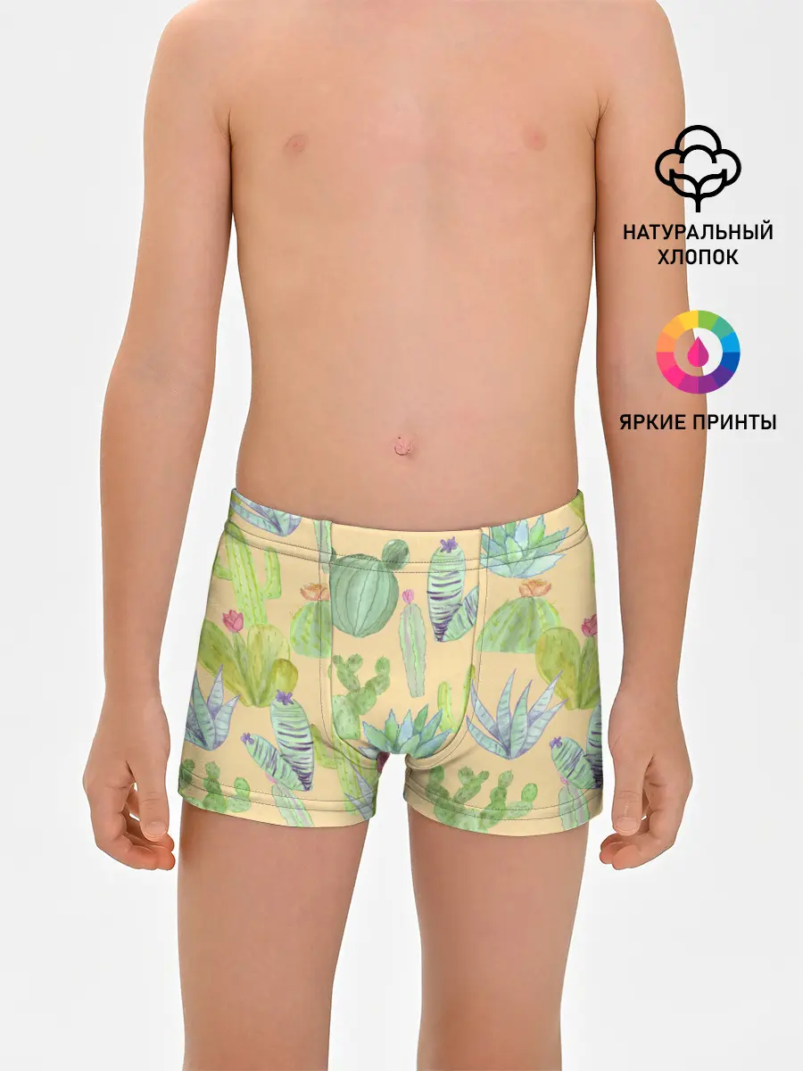 Трусы для мальчиков / Кактусы в пустыне