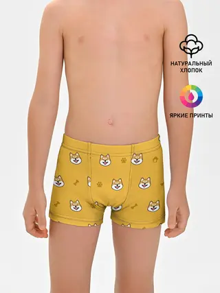 Трусы для мальчиков / Сиба-ину. Акита-ину.