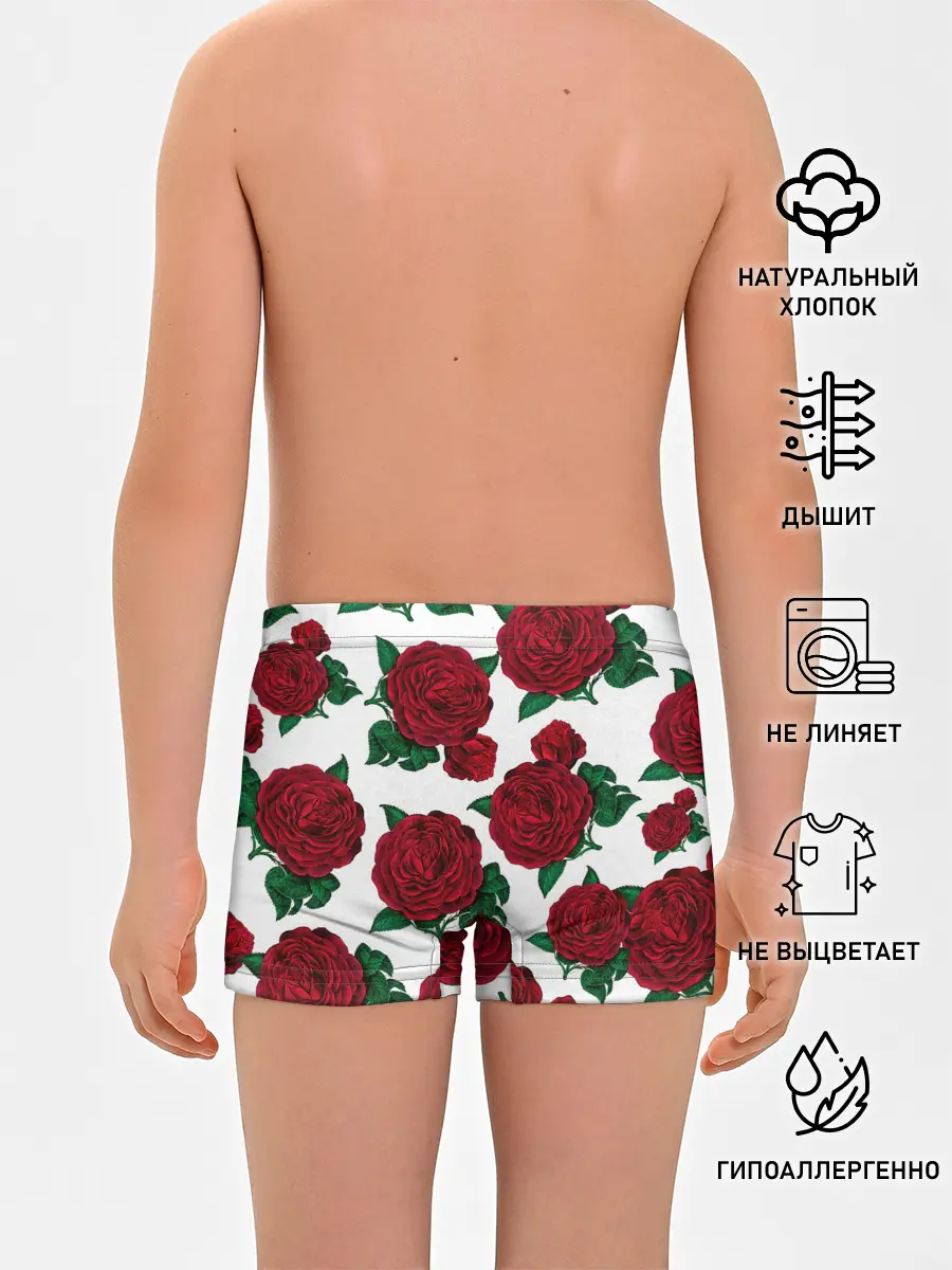 Трусы для мальчиков / Винтажные розы