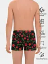 Трусы для мальчиков / Roses Art