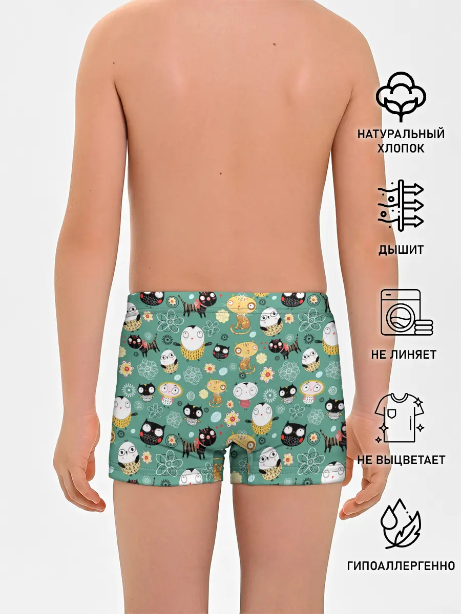Трусы для мальчиков / Совы и котики